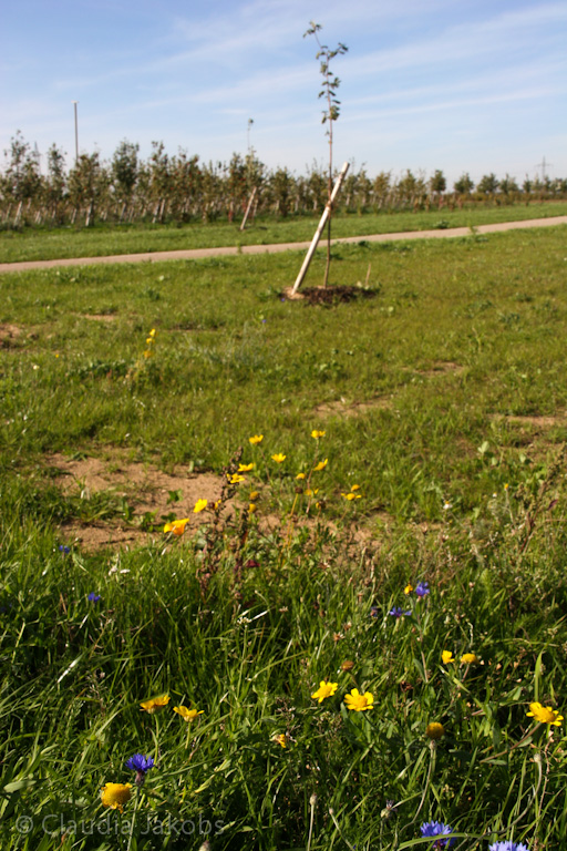 131003132956 IMG 6320