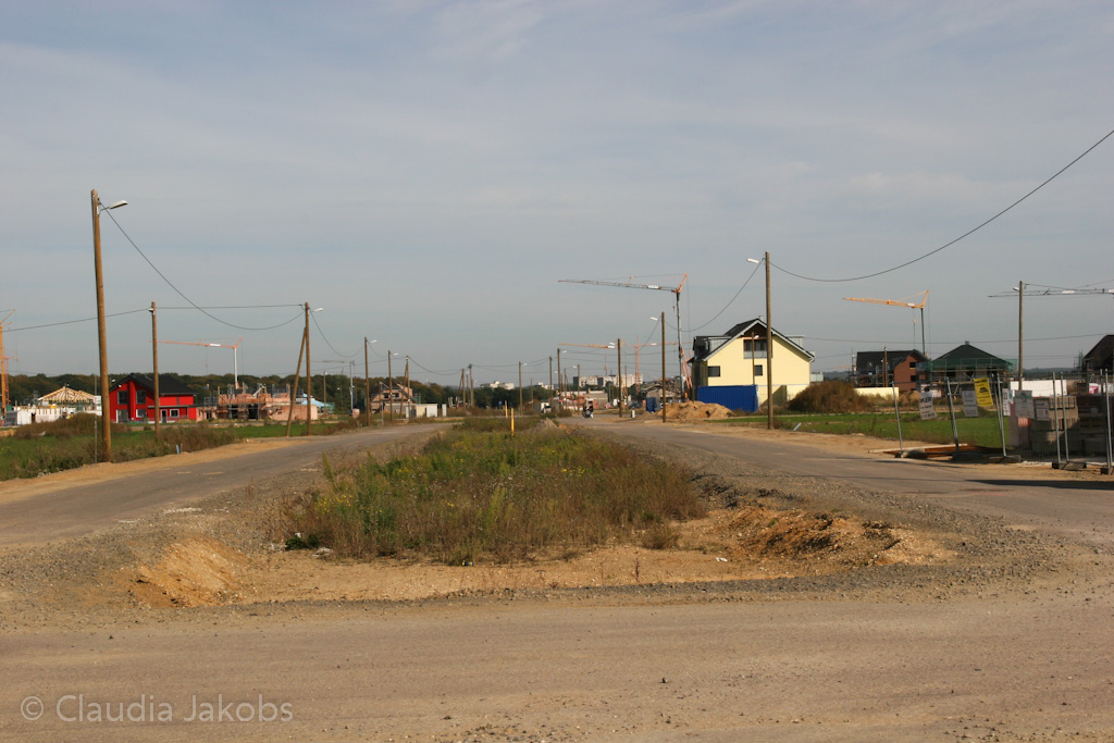 131003133751 IMG 6328