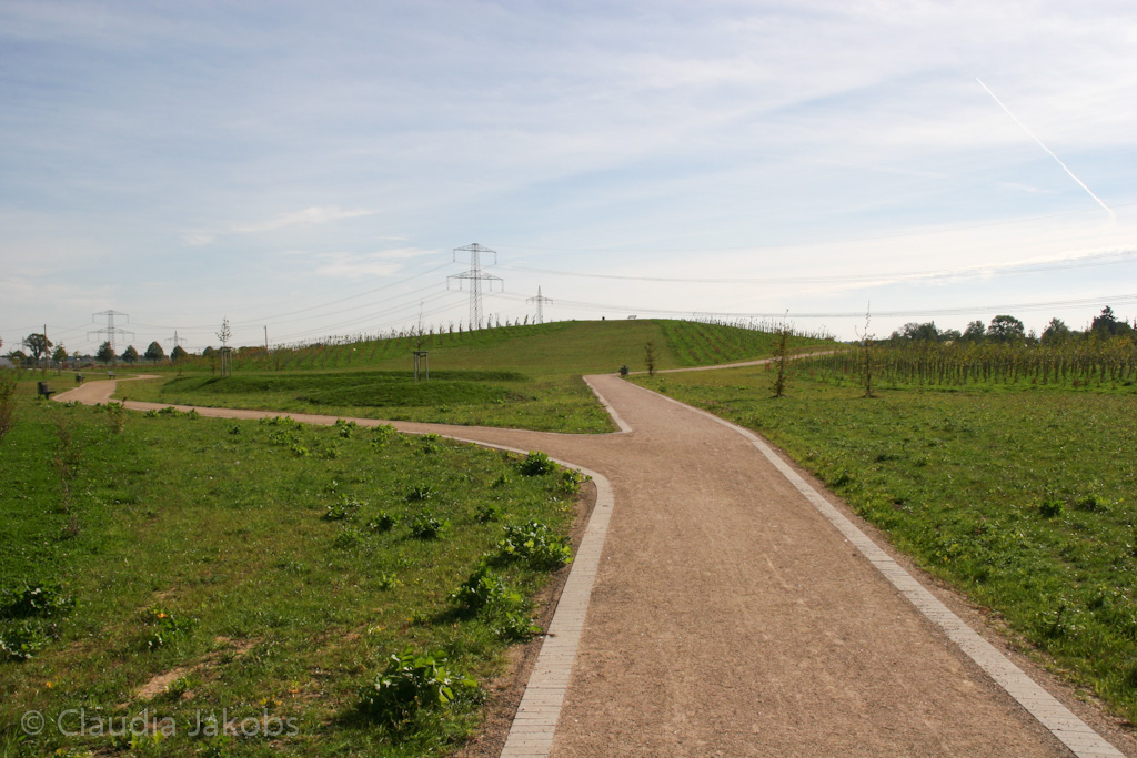 131003133855 IMG 6329