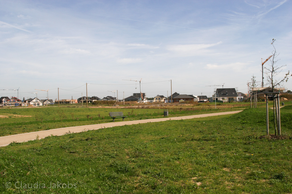 131003133936 IMG 6330