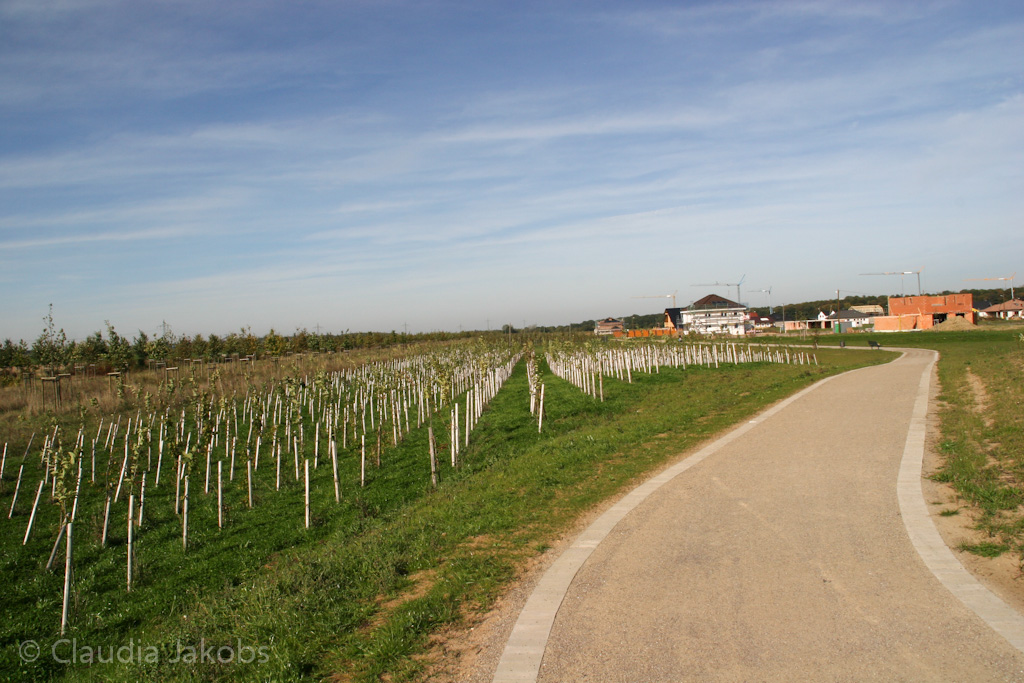 131003134135 IMG 6333