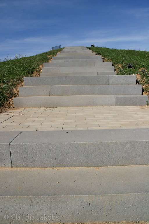 131003134302 IMG 6335