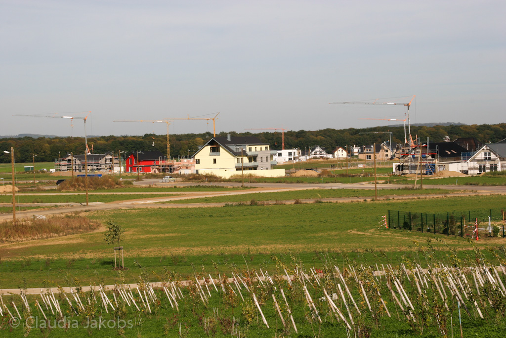 131003134417 IMG 6338