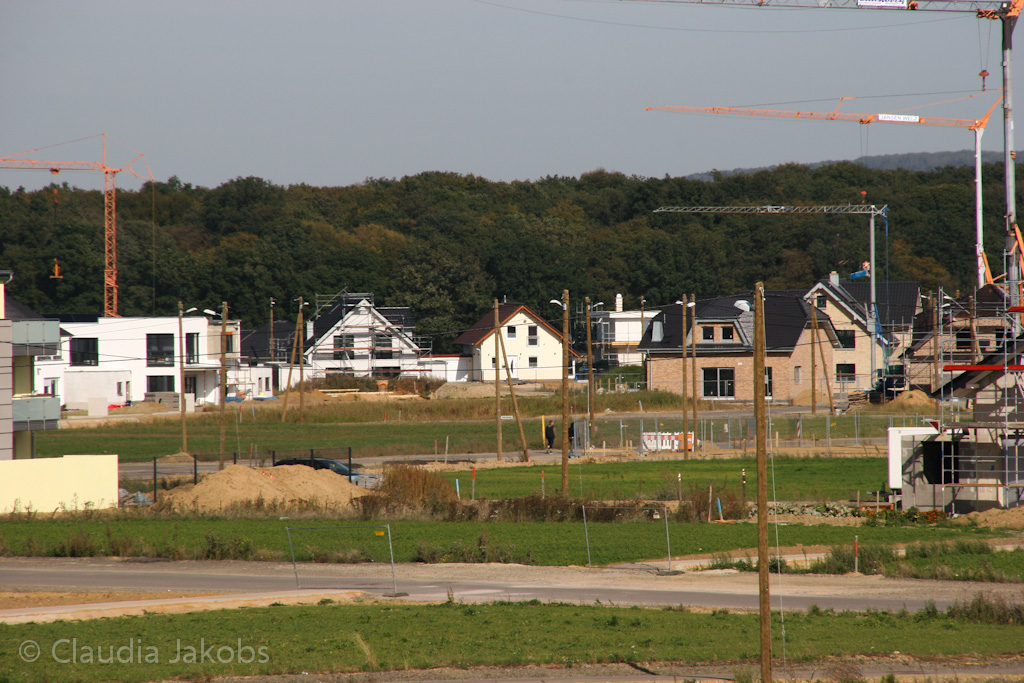 131003134422 IMG 6339