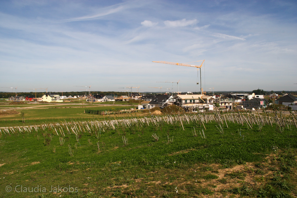 131003134501 IMG 6342