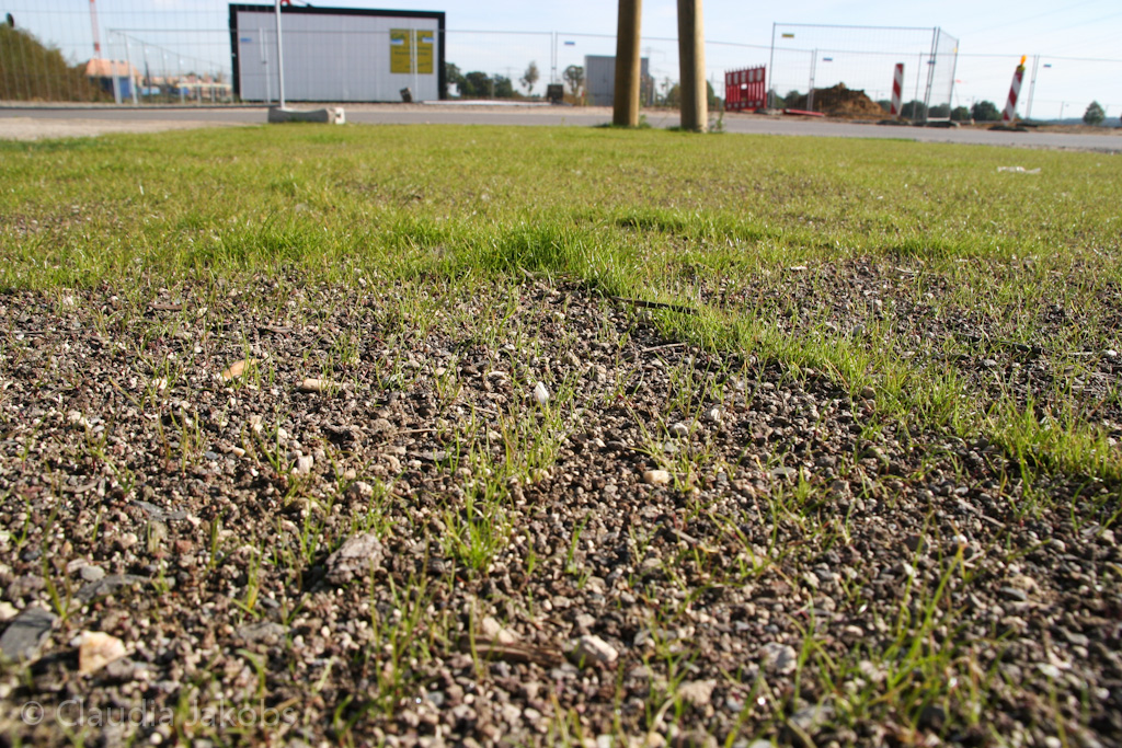 131003135926 IMG 6346