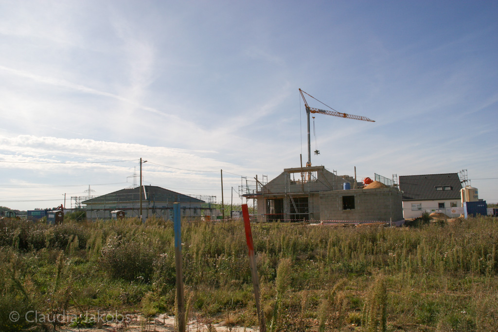 131003141433 IMG 6351