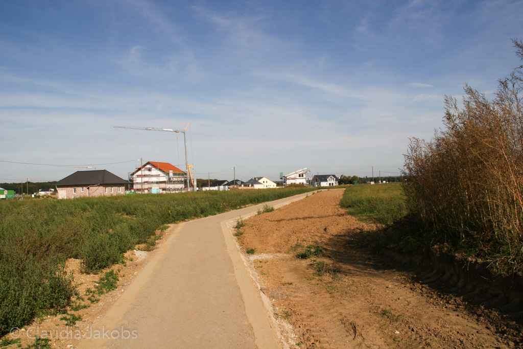 131003141949 IMG 6360