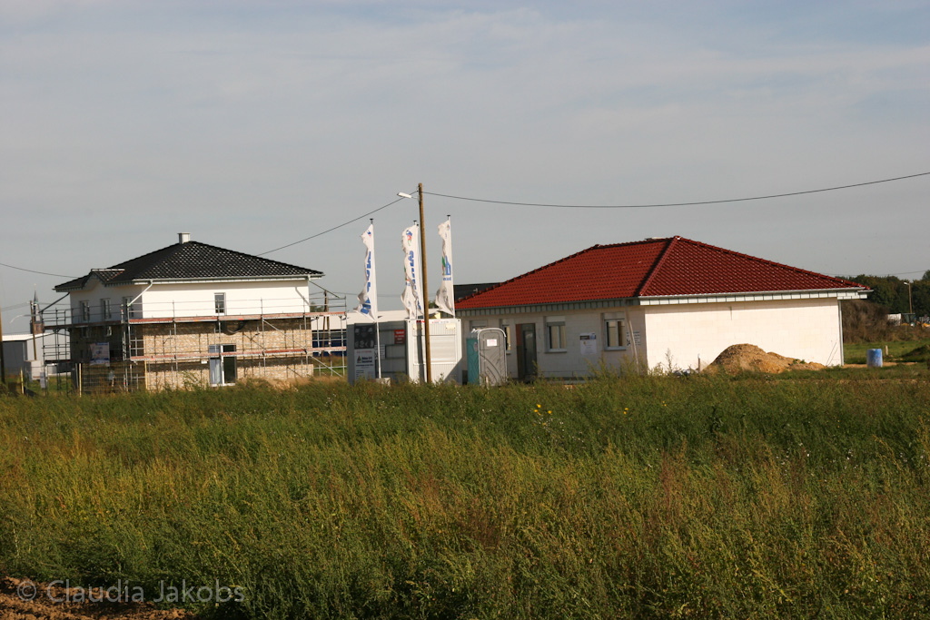 131003142028 IMG 6362