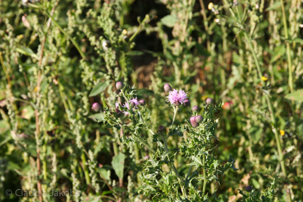 131003142143 IMG 6364