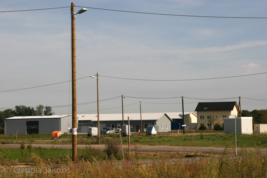 131003142235 IMG 6365