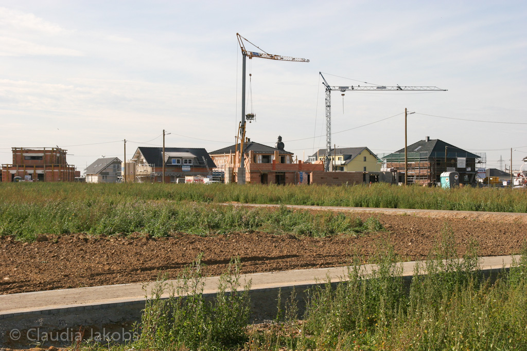 131003142321 IMG 6366