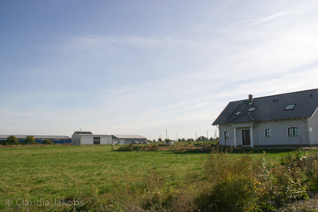 131003142742 IMG 6373