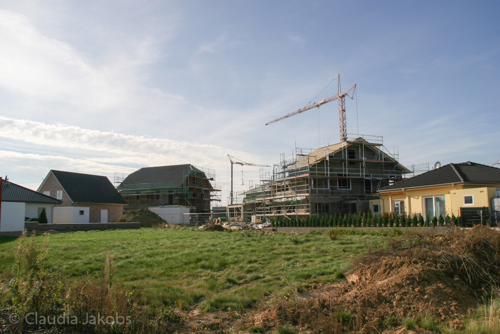 131003142938 IMG 6377