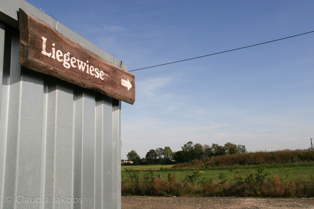 131003142955 IMG 6378