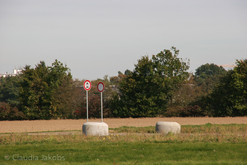 131003143038 IMG 6379