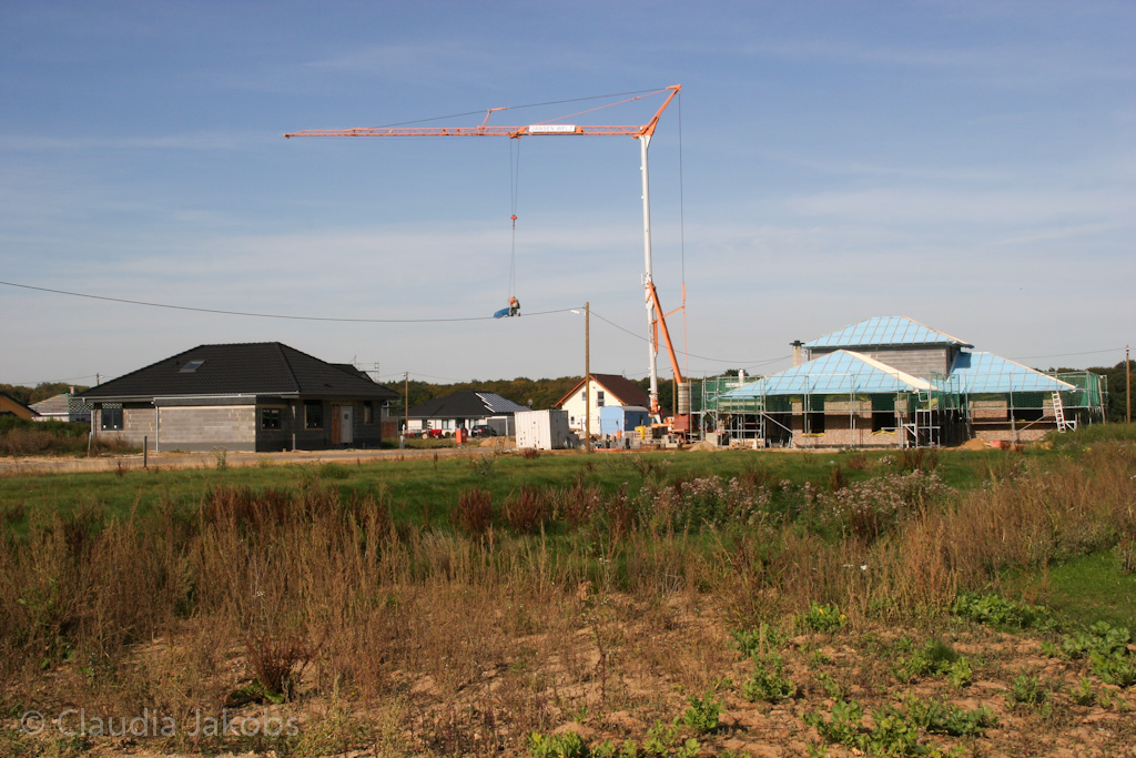 131003143435 IMG 6383