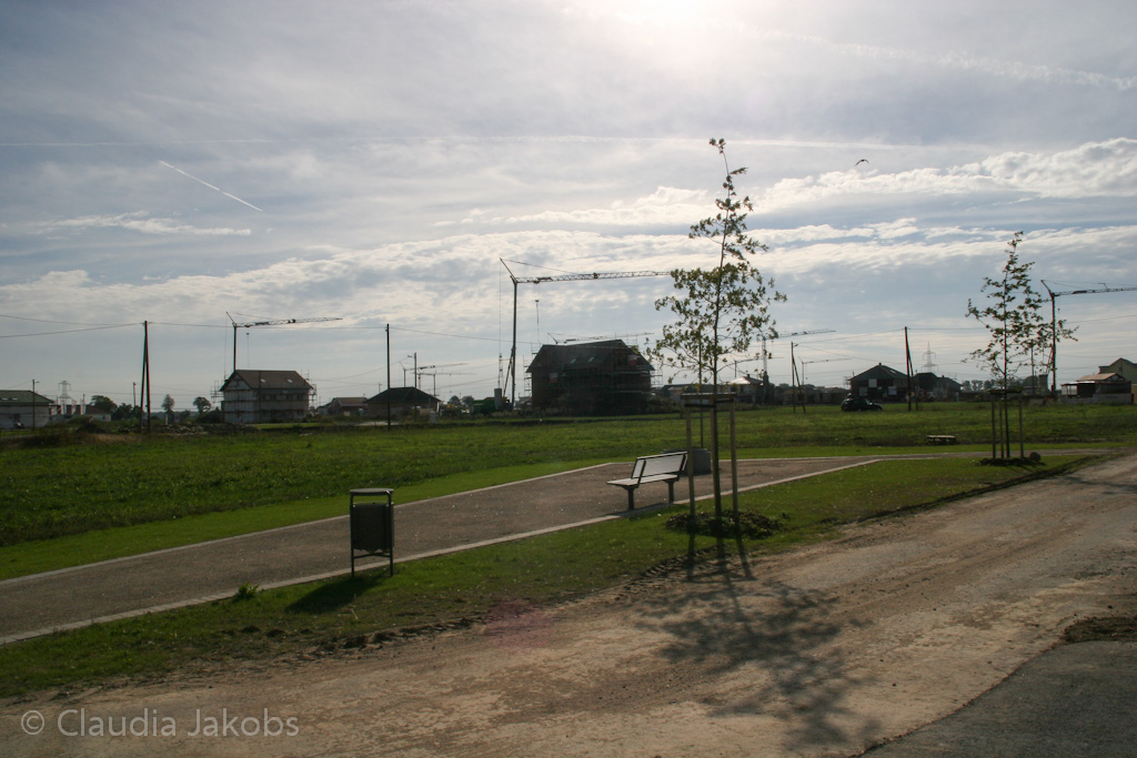 131003143504 IMG 6386