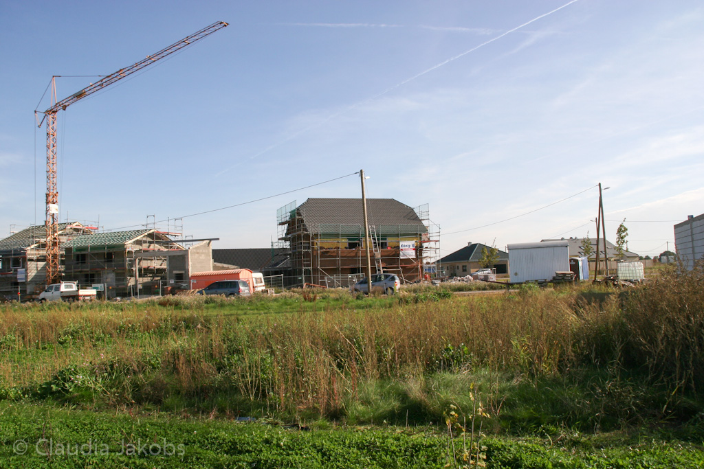 131003143735 IMG 6390