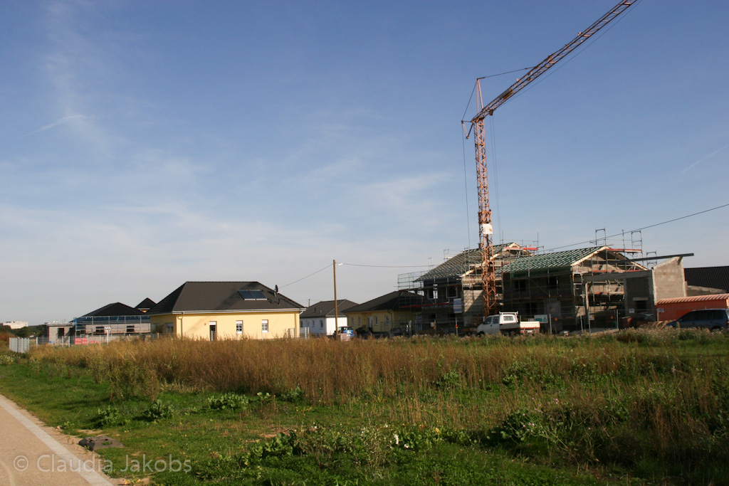 131003143740 IMG 6391