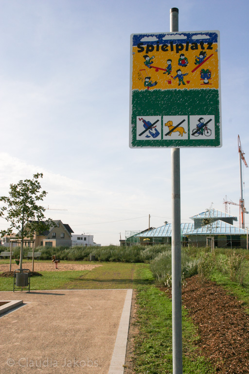 131003143908 IMG 6394