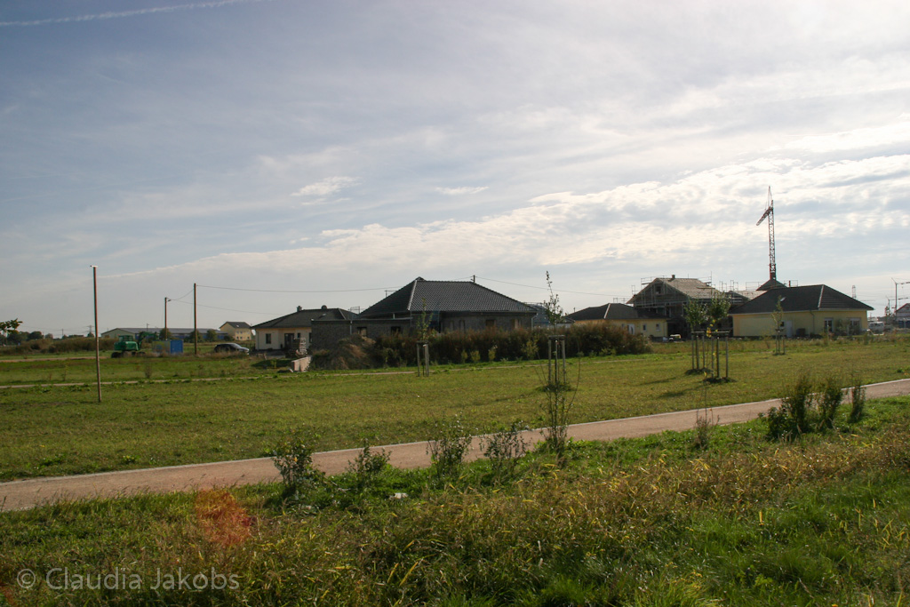 131003144052 IMG 6397