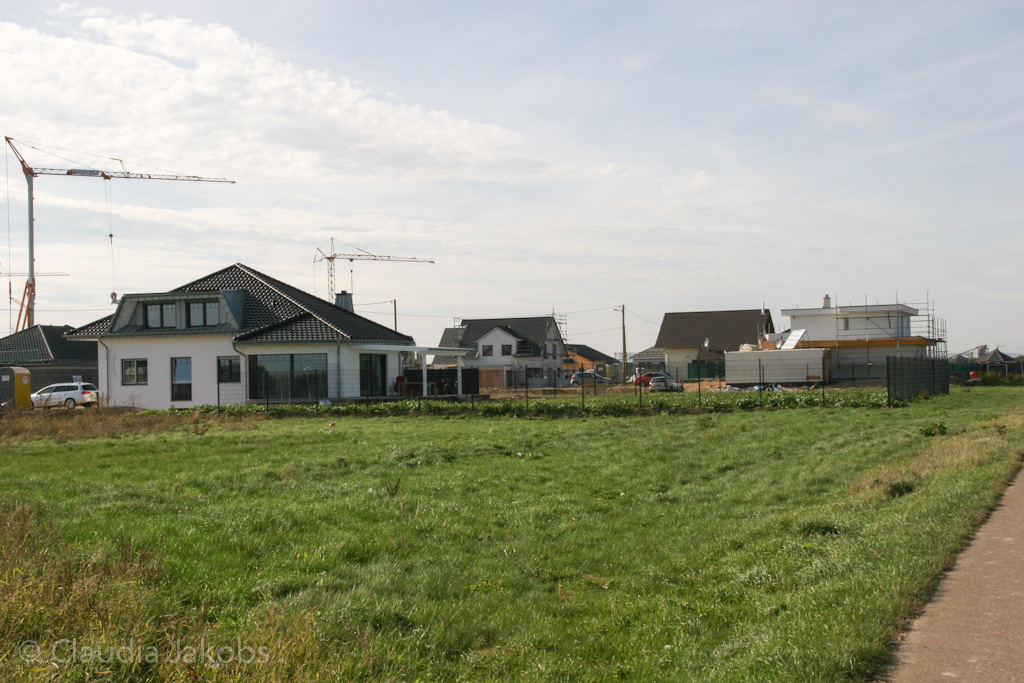 131003144105 IMG 6399