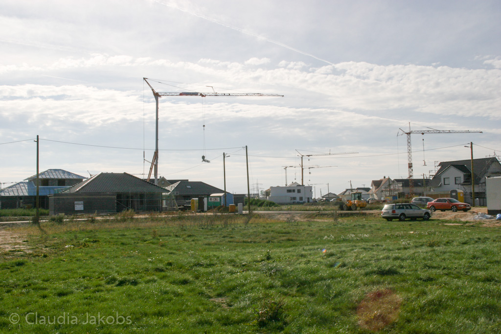 131003144220 IMG 6400