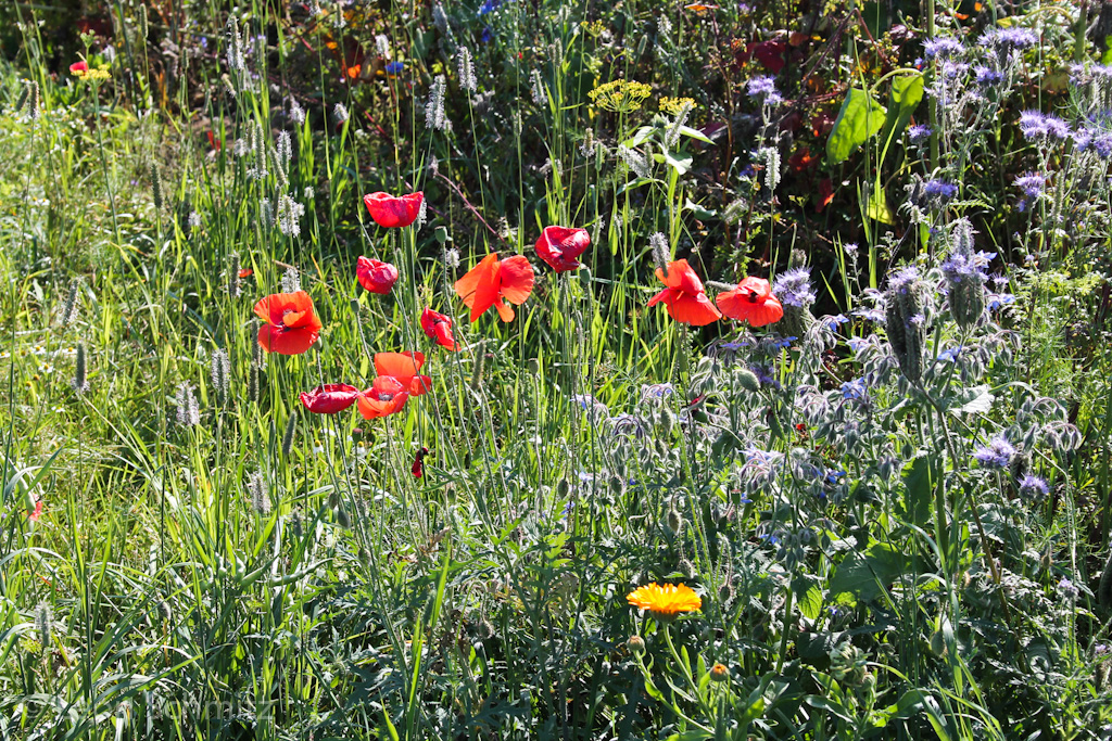 120916113425 IMG 0226