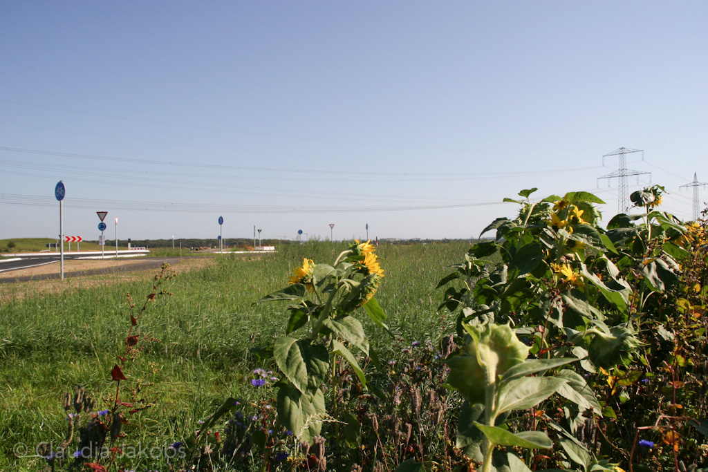 120916113747 IMG 3871