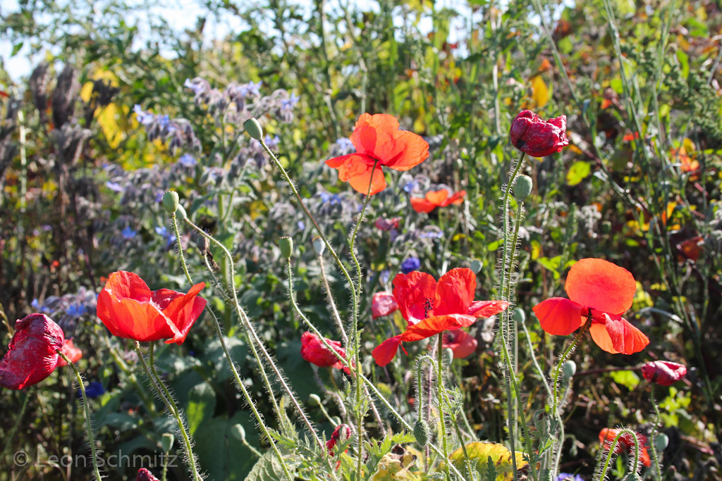 120916114017 IMG 0243