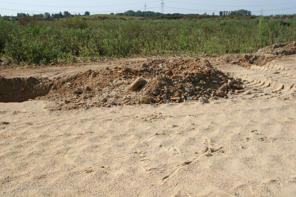 120916120238 IMG 3906