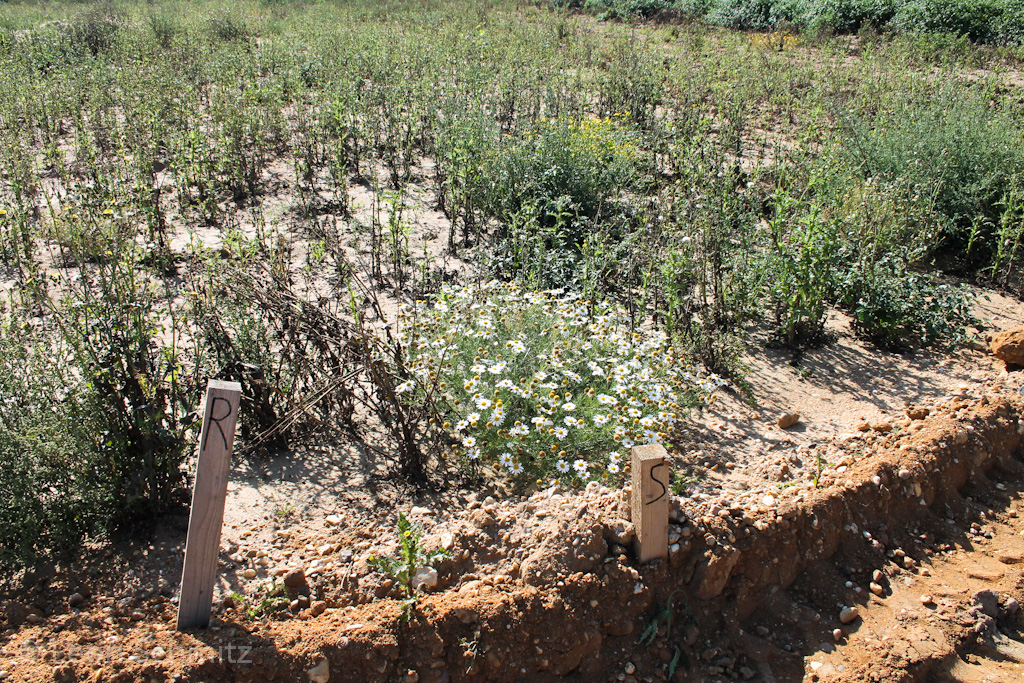 120916120435 IMG 0280