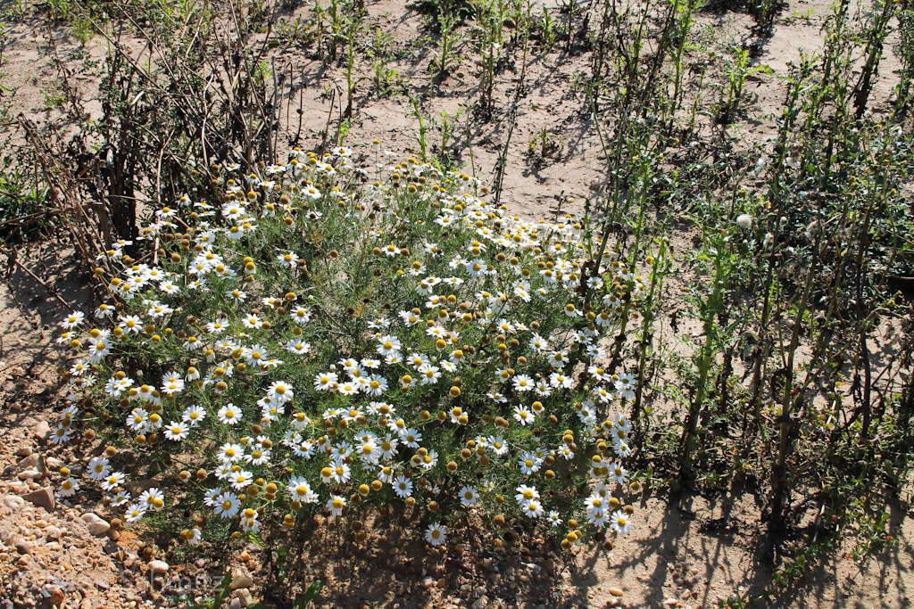 120916120448 IMG 0281