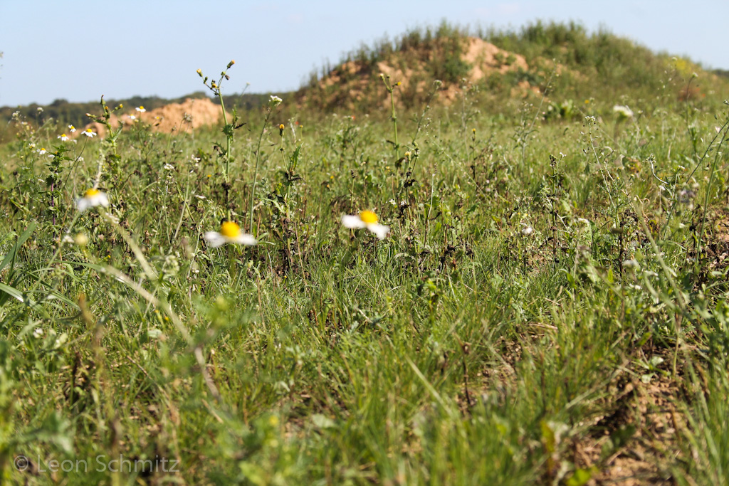 120916121256 IMG 0302