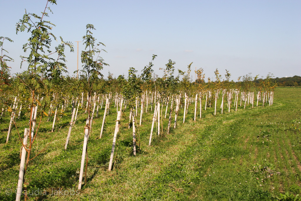 120916121308 IMG 3916