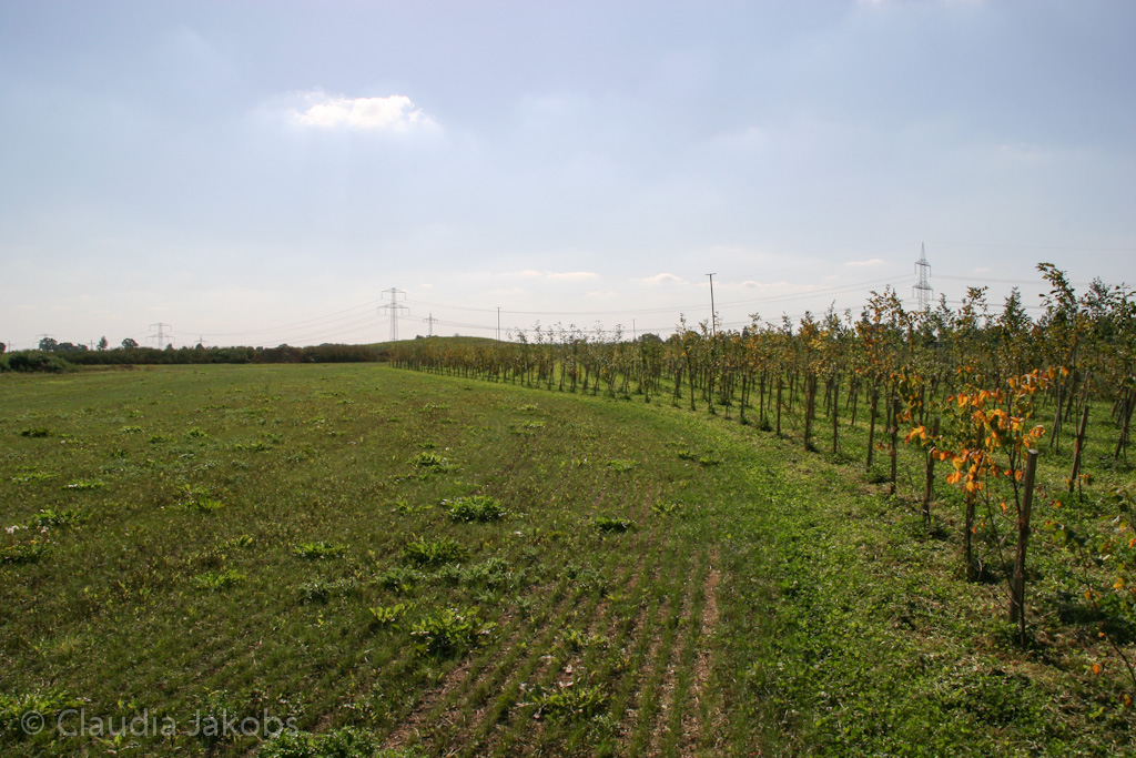 120916121335 IMG 3918