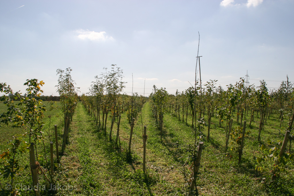 120916121408 IMG 3919