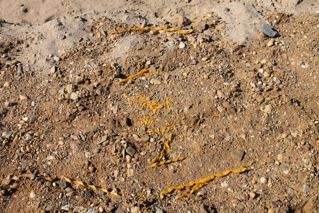 120916121721 IMG 0314