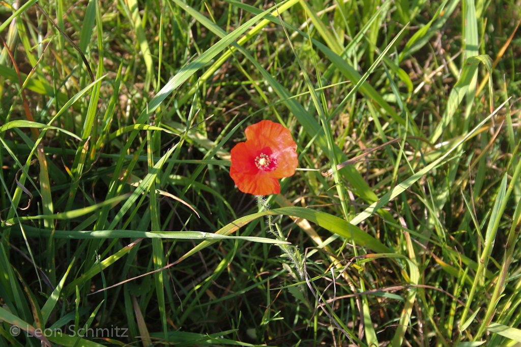 120916122149 IMG 0324