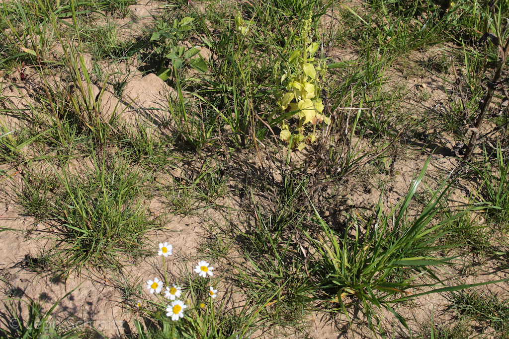 120916122349 IMG 0335