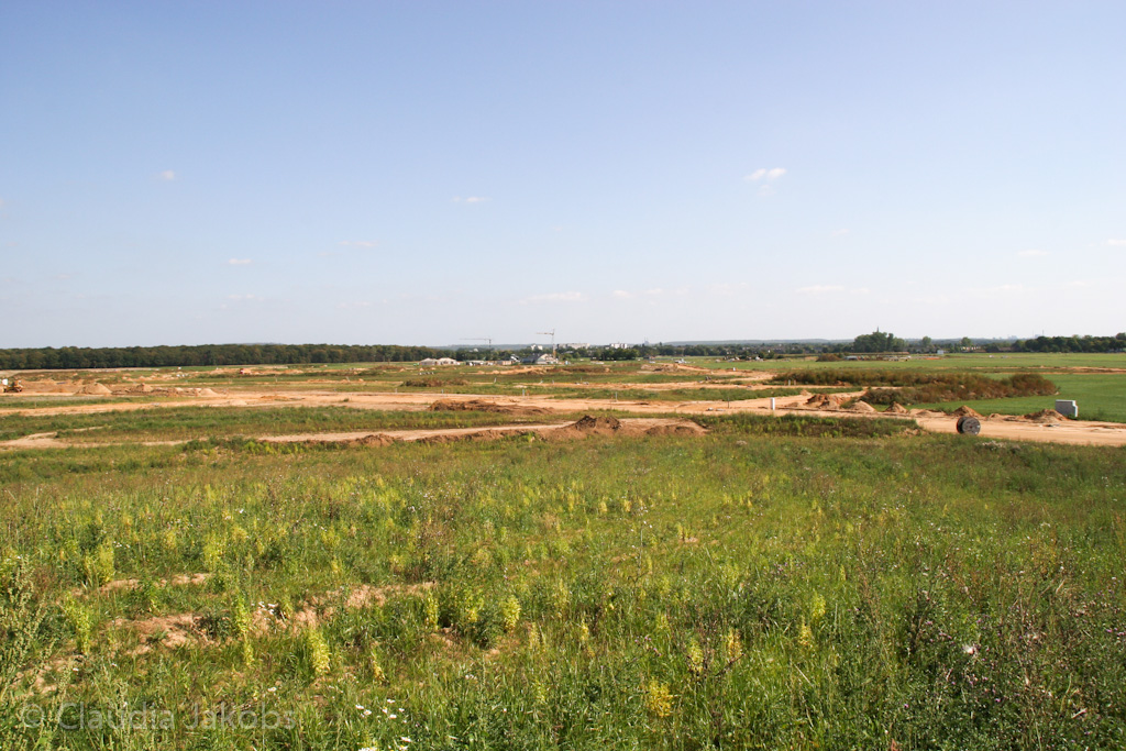 120916122612 IMG 3930