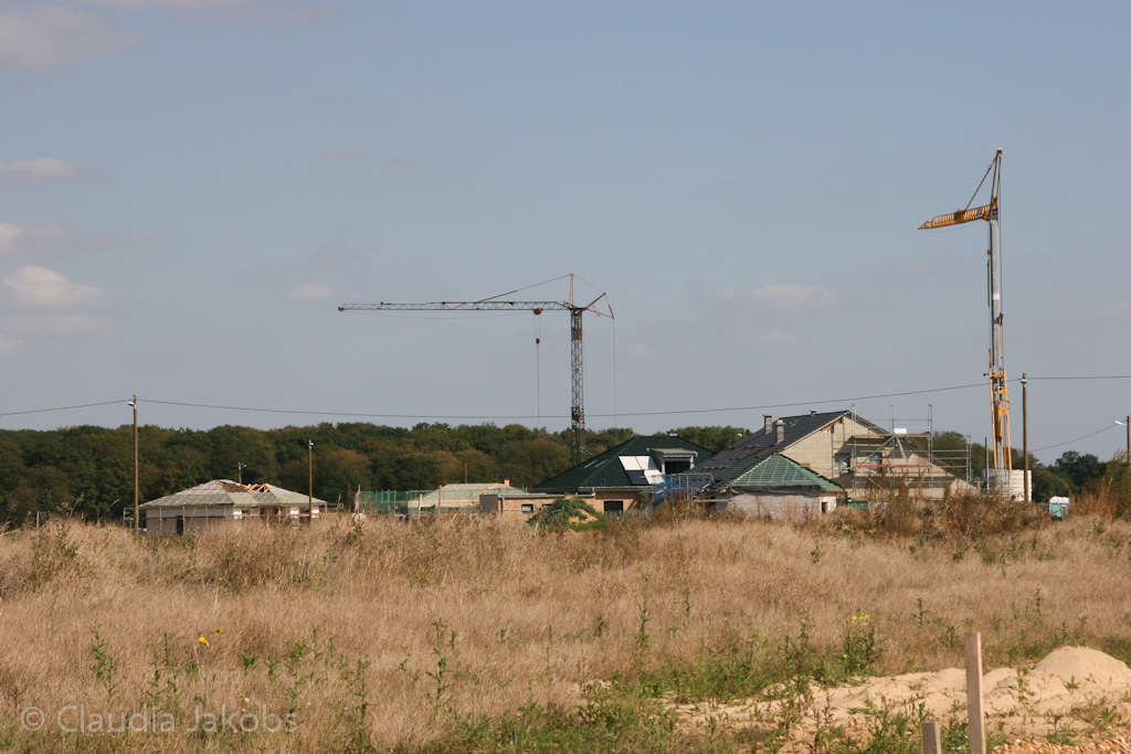 120916123728 IMG 3943