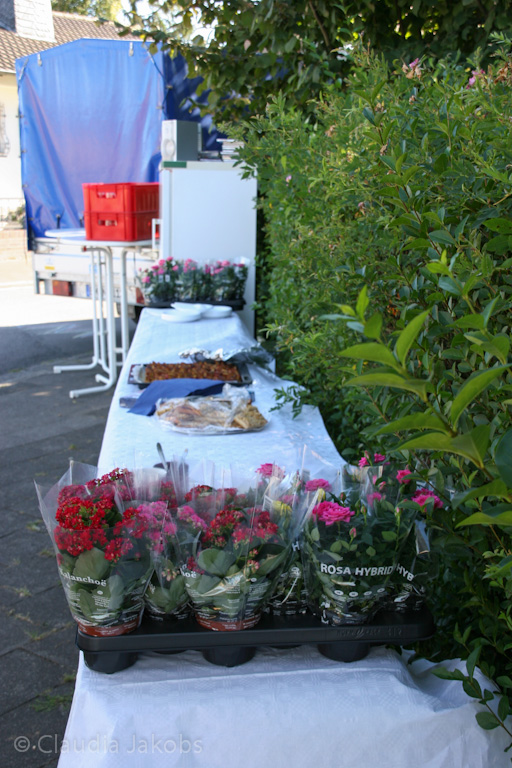 120818165938 IMG 3773