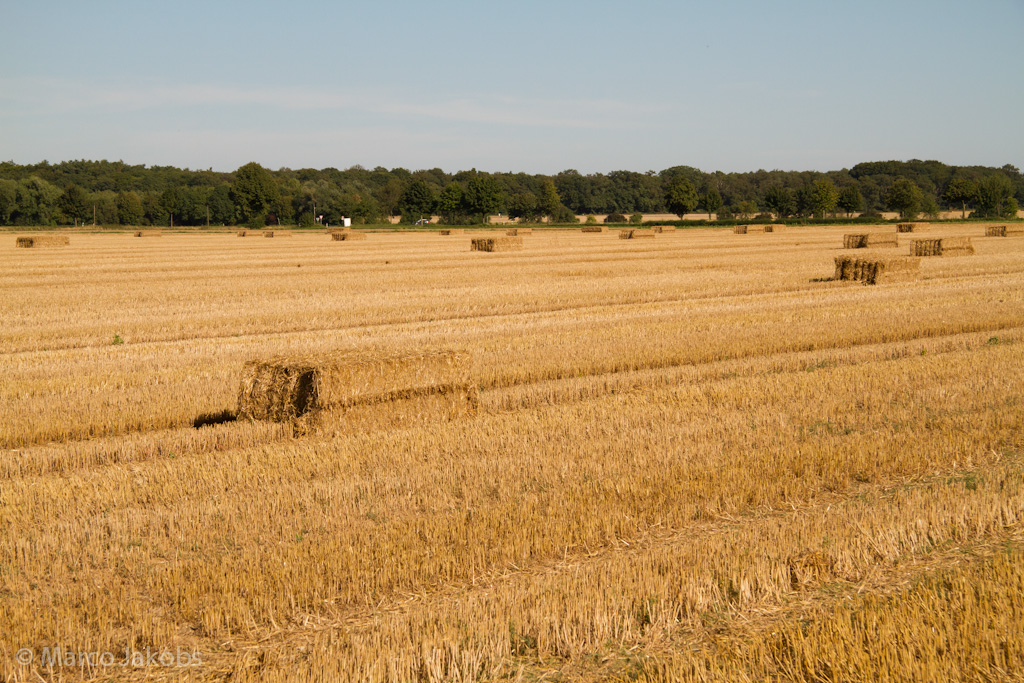 120818172207 IMG 9238