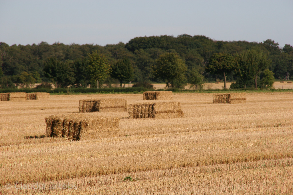 120818172531 IMG 3803