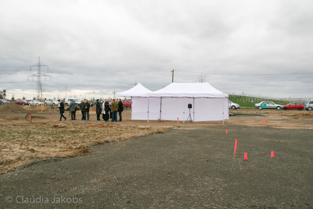 140220155512 IMG 6550