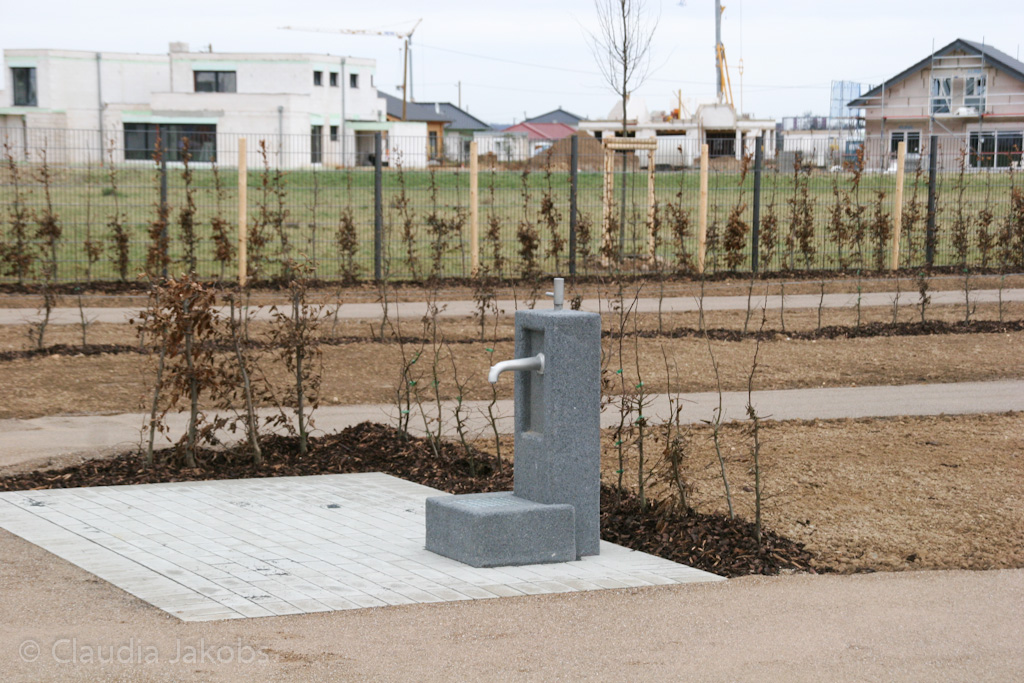 140220155549 IMG 6551