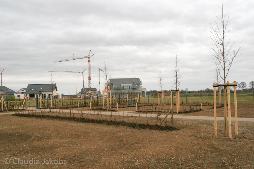 140220155658 IMG 6554