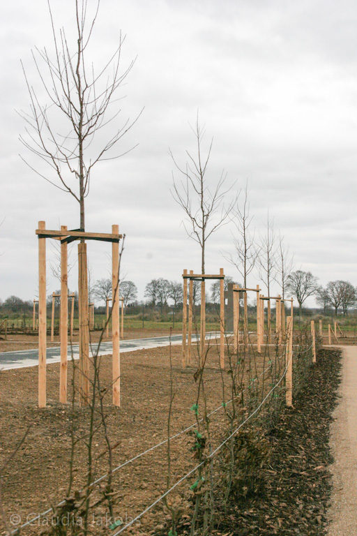 140220155755 IMG 6557